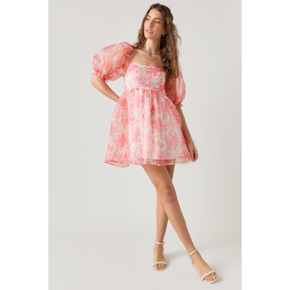 Audrey Parks Claudia Floral Organza Babydoll Mini Dress Puff Sleeve Feminine